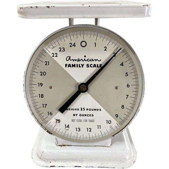 VINTAGE American Family White Farmhouse  Decorative Kitchen Scale & Faux Plant. - Picture 2 of 8